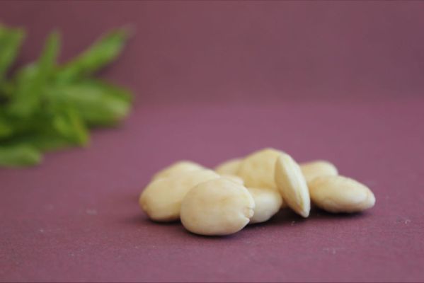 marcona repelada